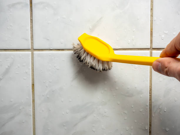 Best Mold Remediation for Specific Building Types in Lamont, MI