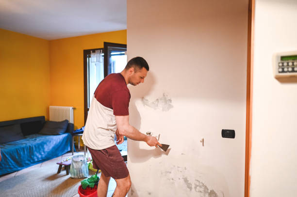 Best Crawl Space Mold Remediation in Lamont, MI